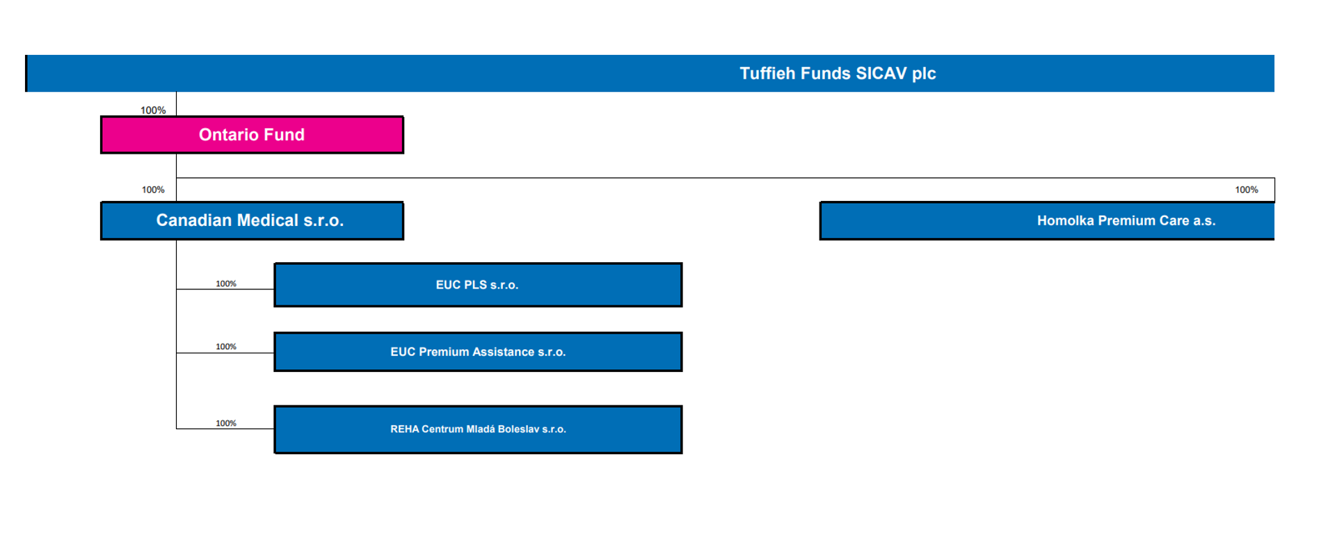 Vlastnická struktura